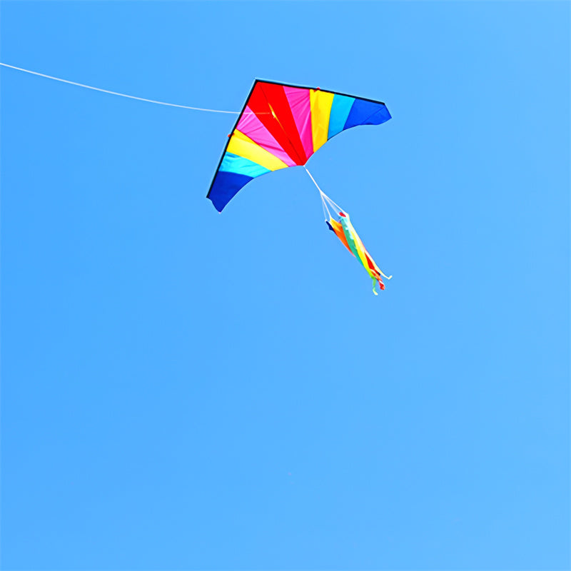 free shipping large kite tails flying kite windsocks kites rainbow tail kite for kids snake rip stop for kite novelty toy
