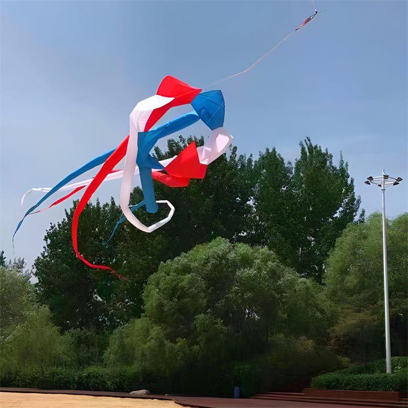 free shipping high quality 6m rainbow windsock kite flying large kites adult kite reel ripstop nylon kite wind kites bat kites