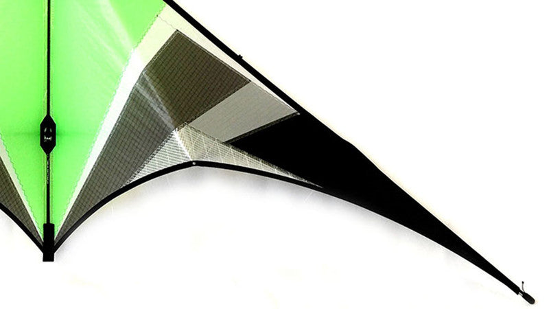 free shipping Freilein kite Factory dual line stunt kite flying professional wind kites for adults reel parapent voar pipe koi