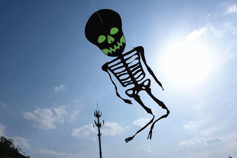 Free Shipping Skull kites flying 3d kites for adults inflatable games kite air kites for professional wind power plane kite