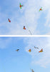 free shipping 2pcs/lot mini kites flying for children kite line 3d kite pocket kite for kids fishing rod dynamic wing PE kite
