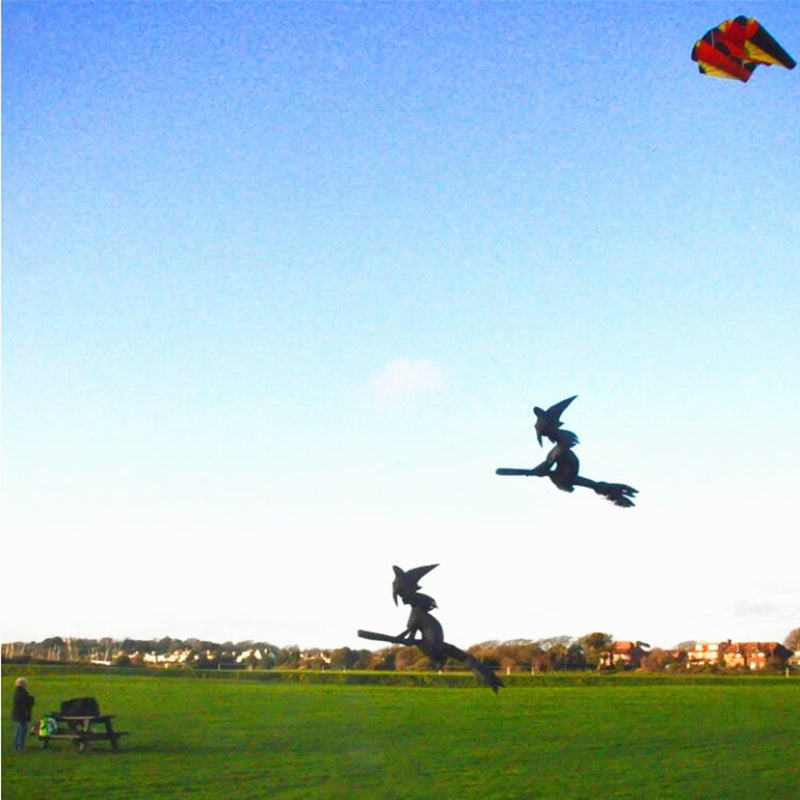 free shipping large inflatable kite Witch kite flying 3d kite for adults professional kite string line outdoor game trainer kite