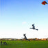 free shipping large inflatable kite Witch kite flying 3d kite for adults professional kite string line outdoor game trainer kite