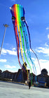 Free Shipping 23m octopus kites windsurfing flying papalotes for adults parachute garden toys sports large outdoor games Power