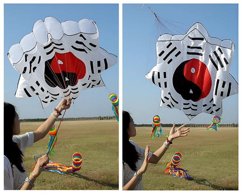 free shipping 3d kites flying soft kites gossip kite nylon ripstop giant inflatable kites Chinese traditional kites dragon kites