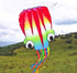 free shipping children kite flying toys octopus kite inflatable kites factory walk in sky outdoor fun ikite professional winds
