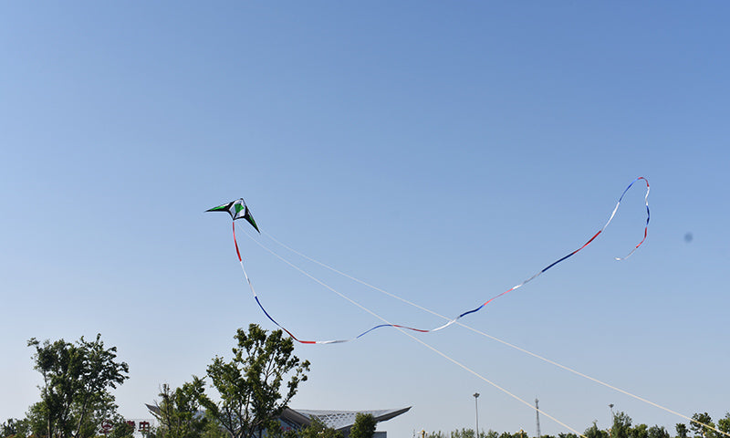 free shipping 210cm dual line stunt kites sword kites flying toys for kids kites new beginner kite windsurfing professional wind