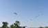 free shipping 210cm dual line stunt kites sword kites flying toys for kids kites new beginner kite windsurfing professional wind