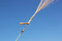 free shipping new kites flying butterfly kites nylon kites factory professional winds kites reel delta wing to fly kite handle