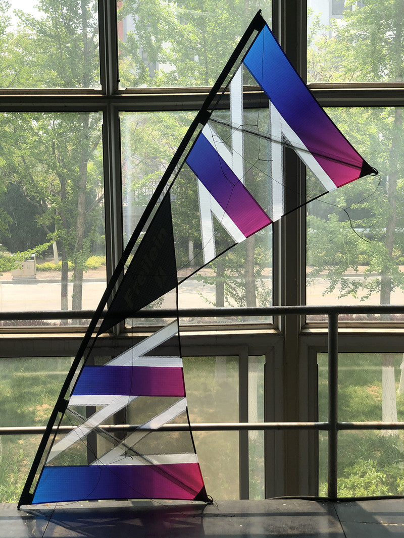 free shipping Freilein kite Windrider III quad line stunt power kite adults kites real parachute fabric kitesurfing outdoor koi