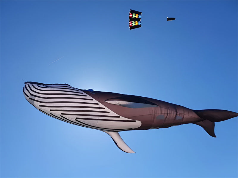 free shipping 17m shark kite flying whale kite pendant outdoor fun sports parachute kites for adults kite wheel folding kites