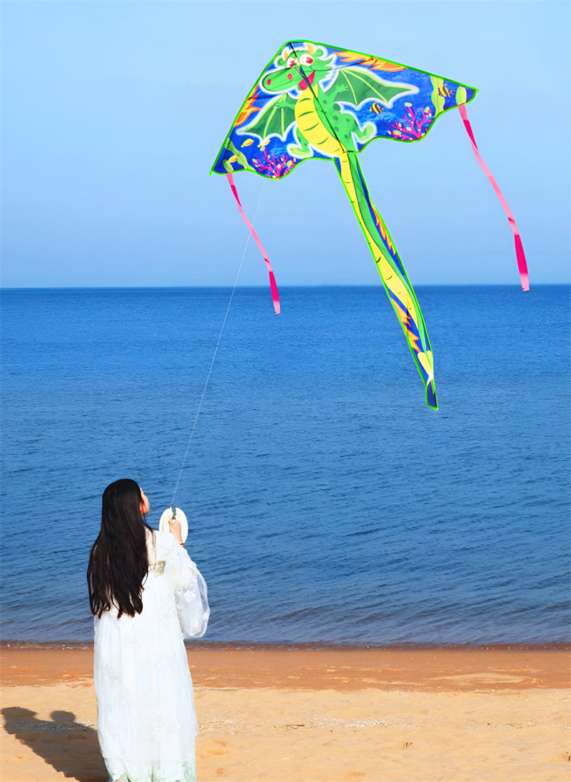 free shipping dragon kites flying toys for kids kites string line eagle kite factory wind kites for children Parachute sports