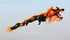 free shipping 15m dragon kite flying for adults kites professional wind kite pendant soft kites traditional kite paraglider