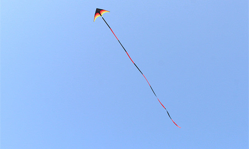 free shipping delta kites 6m tails flying toys for children kites fabric ripstop nylon outdoor sports beach kites factory ikite