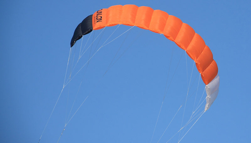 Free shipping parachute giant kites quad line power kites wasp kites paraglider kiteboard kitesurfing equipment for adults kites