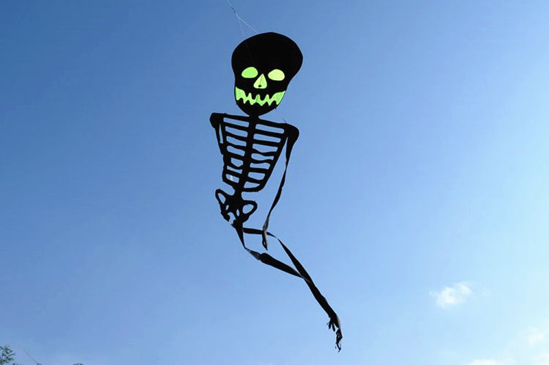 Free Shipping Skull kites flying 3d kites for adults inflatable games kite air kites for professional wind power plane kite