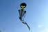 Free Shipping Skull kites flying 3d kites for adults inflatable games kite air kites for professional wind power plane kite