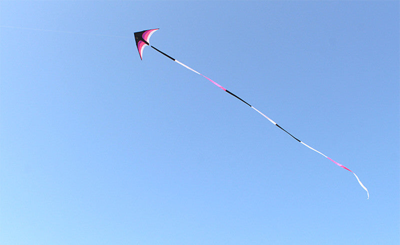 free shipping delta kites 6m tails flying toys for children kites fabric ripstop nylon outdoor sports beach kites factory ikite