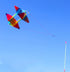 free shipping PE rotating kite flying toys for children kites 3d kites snake coil show kites colorful flying weifang kites fish