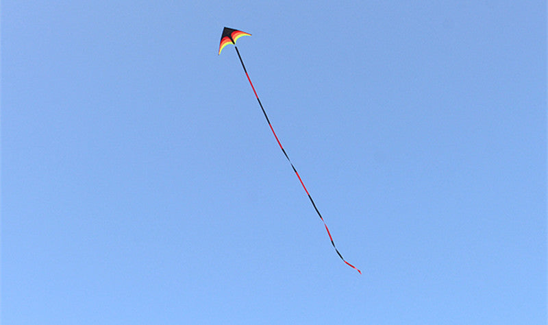 free shipping delta kites 6m tails flying toys for children kites fabric ripstop nylon outdoor sports beach kites factory ikite