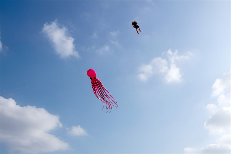 free shipping large soft kites flying fish kite factory professional kites for adults kites reel inflatable kites nylon fabric