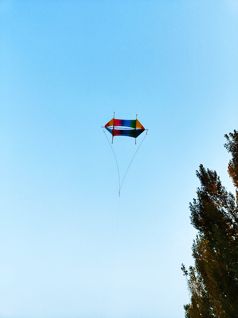free shipping 10pcs rotating kites PE fabric kites flying toys for kids kites 3d kites snake kites wholesale factory ikite cerf