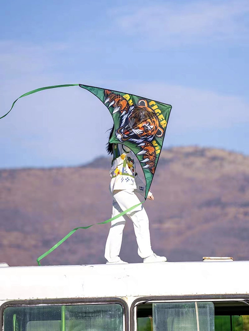 Free Shipping new kites tiger kites flying toys for children kites professional kites flying kites windsurfing Power kite flying