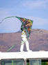 Free Shipping new kites tiger kites flying toys for children kites professional kites flying kites windsurfing Power kite flying