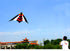 free shipping large delta kite flying nylon kite reel parachute cerf volant kevlar line eagle kiteboard kites for adults kites