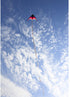 Free shipping children kites flying toys professional wind kites string line ripstop nylon kites factory kites for kids rainbow