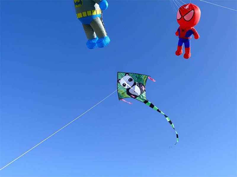 free shipping dinosaur kite flying children panda kite toys nylon kites birds kites single line kite paracaida butterfly kite