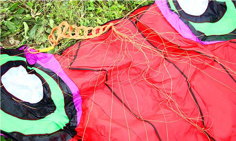 free shipping gold fish kite flying walk in sky kite factory outdoor sport toys nylon fabric kitesurf active rest voar pipe