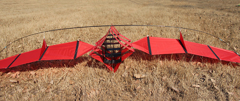 Free Shipping 350cm satellite kites flying radar kites nylon pilot kites snake kite with handle sports beach kites dragon Snake