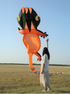 free shipping 14m gecko kites flying professional wind kites soft kites parachute giant kites for adults kites reel kite surf