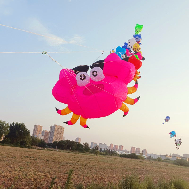 Free shipping soft kites pendant flying show kites crab kites inflatable kites factory airplane kite inflatable show kites