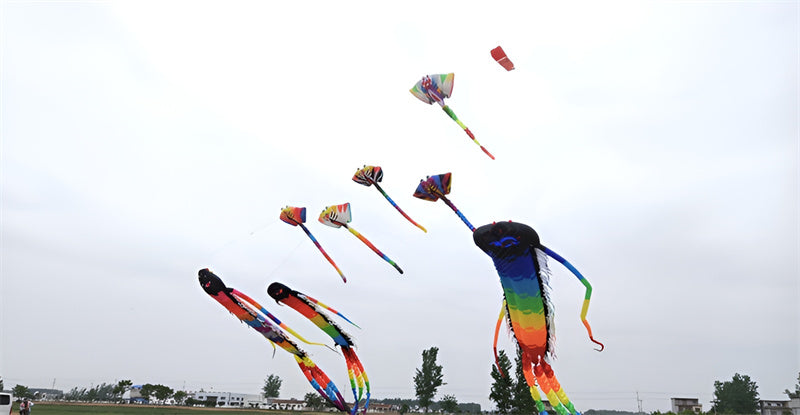 free shipping 35m large Ancient Trilobites kite flying outdoor toys professional kite factory soft kite for adults