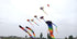 free shipping 35m large Ancient Trilobites kite flying outdoor toys professional kite factory soft kite for adults