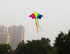 free shipping rainbow high kites flying for children kites string line outdoor fun toys factory ikite kids kites grey reel squid