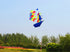 Free Shipping 3d kites flying for adults kites nylon Sailboat kites for sale bird kite snake parachute breeze fly with handle