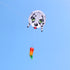 free shipping large dog kite flying professional kite factory walk in sky animal kite outdoor toys weifang kite real parachute