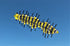 free shipping centipede kite flying for adults kites toys kite surf professional kites factory parachute kite reel rainbow high