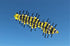 free shipping centipede kite flying for adults kites toys kite surf professional kites parachute weifang kite factory ikite koi