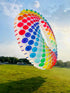 free shipping 15m ring kites flying outdoor professional winds kites rainbow kites dragon paragliding display kite factory ikite