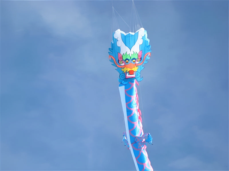 free shipping 35m dragon kite flying adults kite professional wind kite pendant soft kites traditional snake kite paraglider