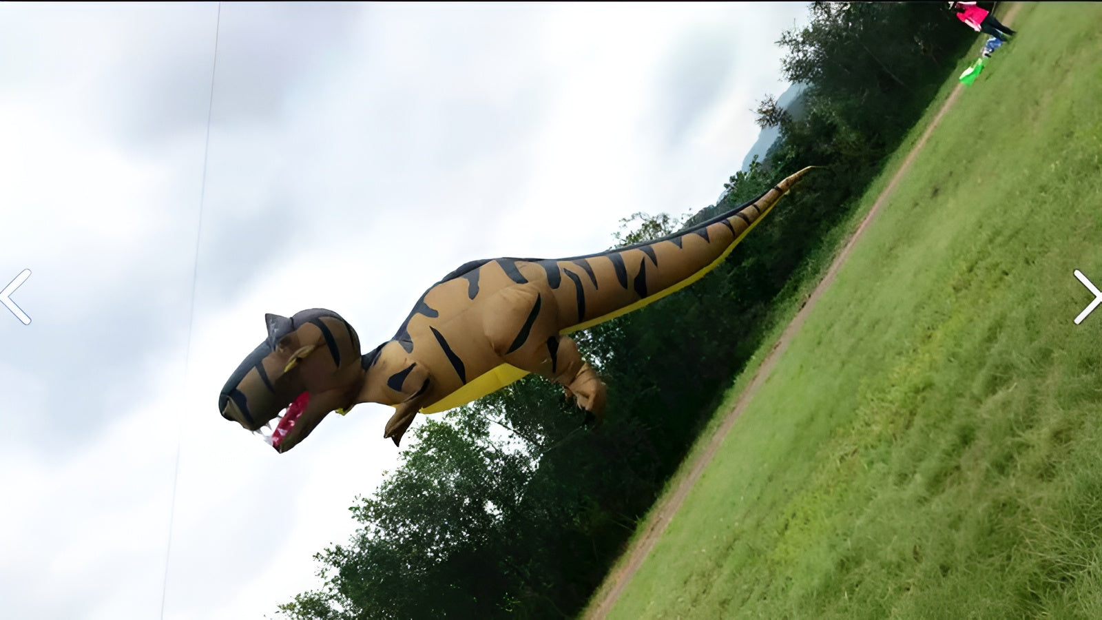 free shipping giant kites flying large dinosaur kite inflatable kite pendant for adults kites octopus kite panda kites soft kite