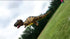 free shipping 3d kite large dinosaur kite flying inflatable kite for adults professional octopus kite panda kite pendant weather