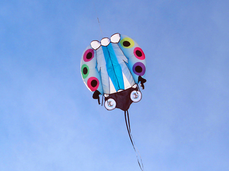 free shipping large ladybug 3D soft kite outdoor flying toys kites for adults vlieger kitesurf kite reel weifang kite factory