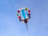 free shipping large ladybug 3D soft kite outdoor flying toys kites for adults vlieger kitesurf kite reel weifang kite factory