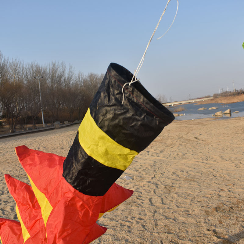 free shipping 3d kite tails rainbow windsock kite flying outdoor sport beach for adults kite nylon fabric kites Snow sled air