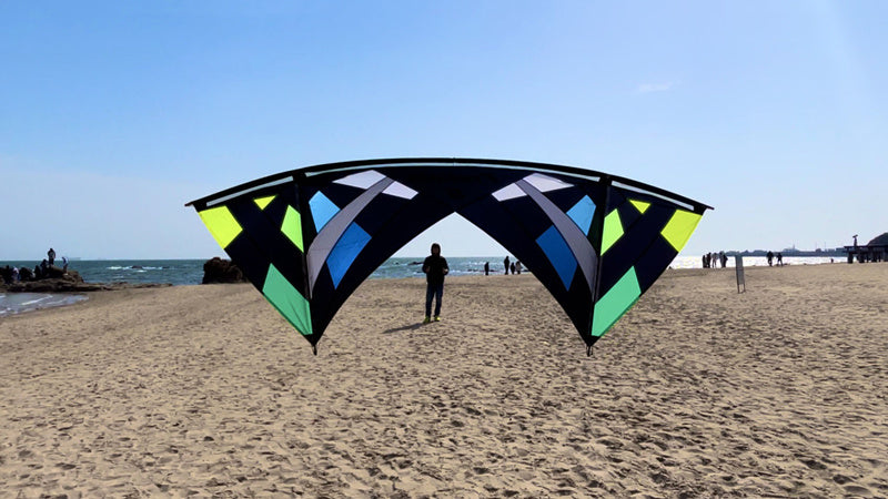 Free Shipping Freilein kites flying stunt kites quad line kites for adults kite reel outdoor toys Smoking sports kite Power kite